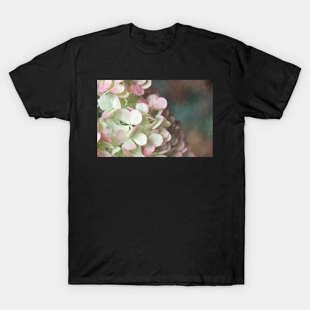 Blush T-Shirt by gracethescene